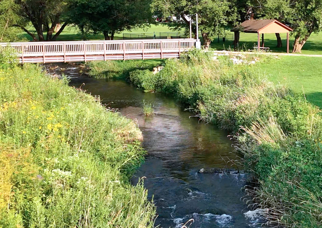 Trout Stream Fishing
