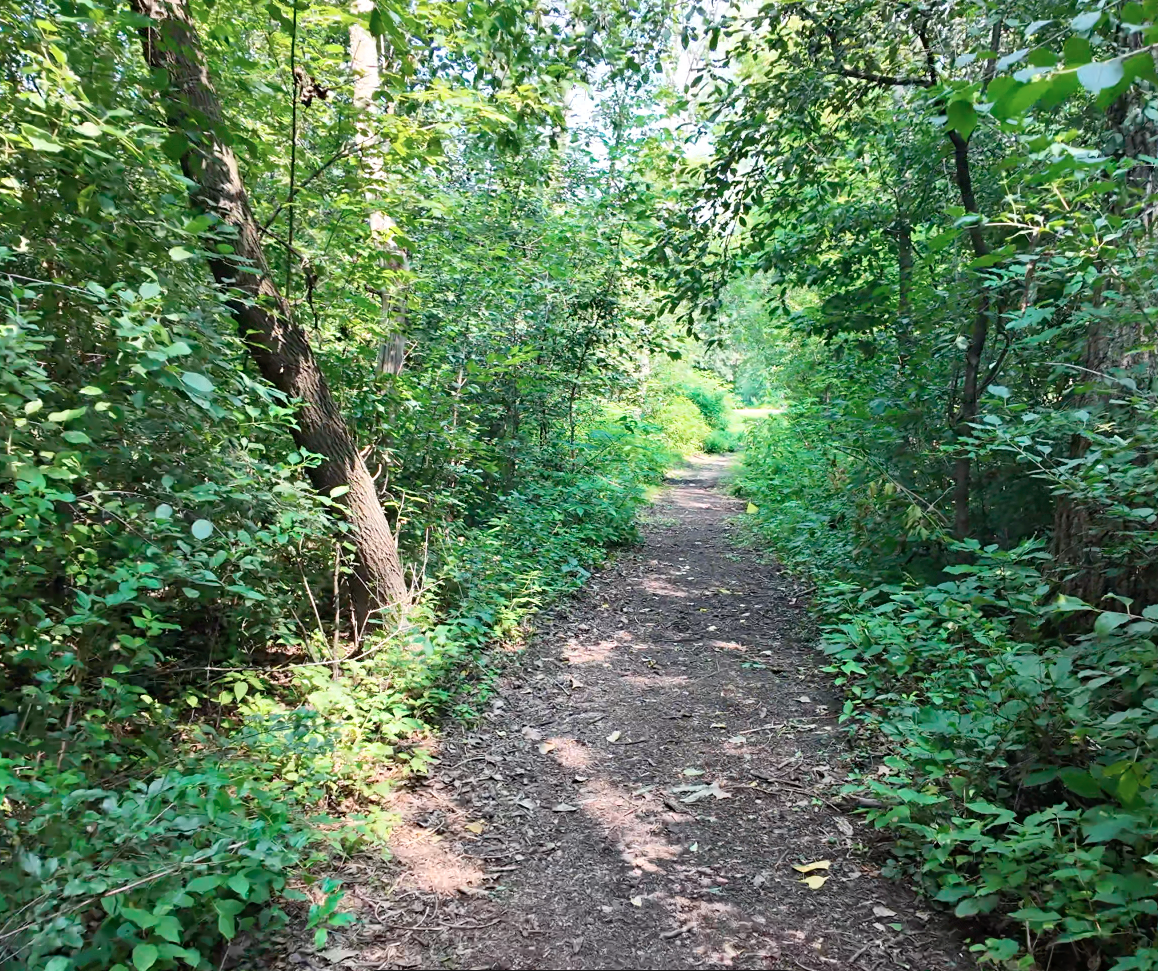 Biking and Walking Trails