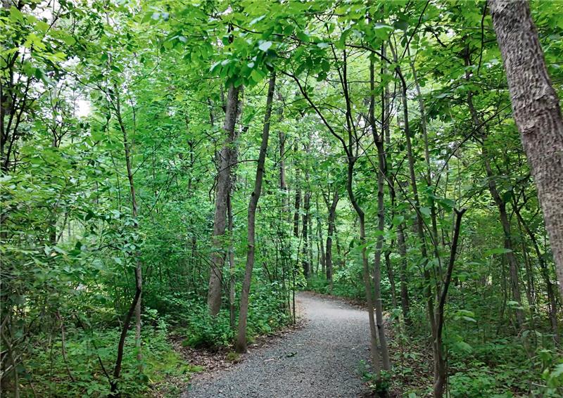Nature Trails & Walking Paths