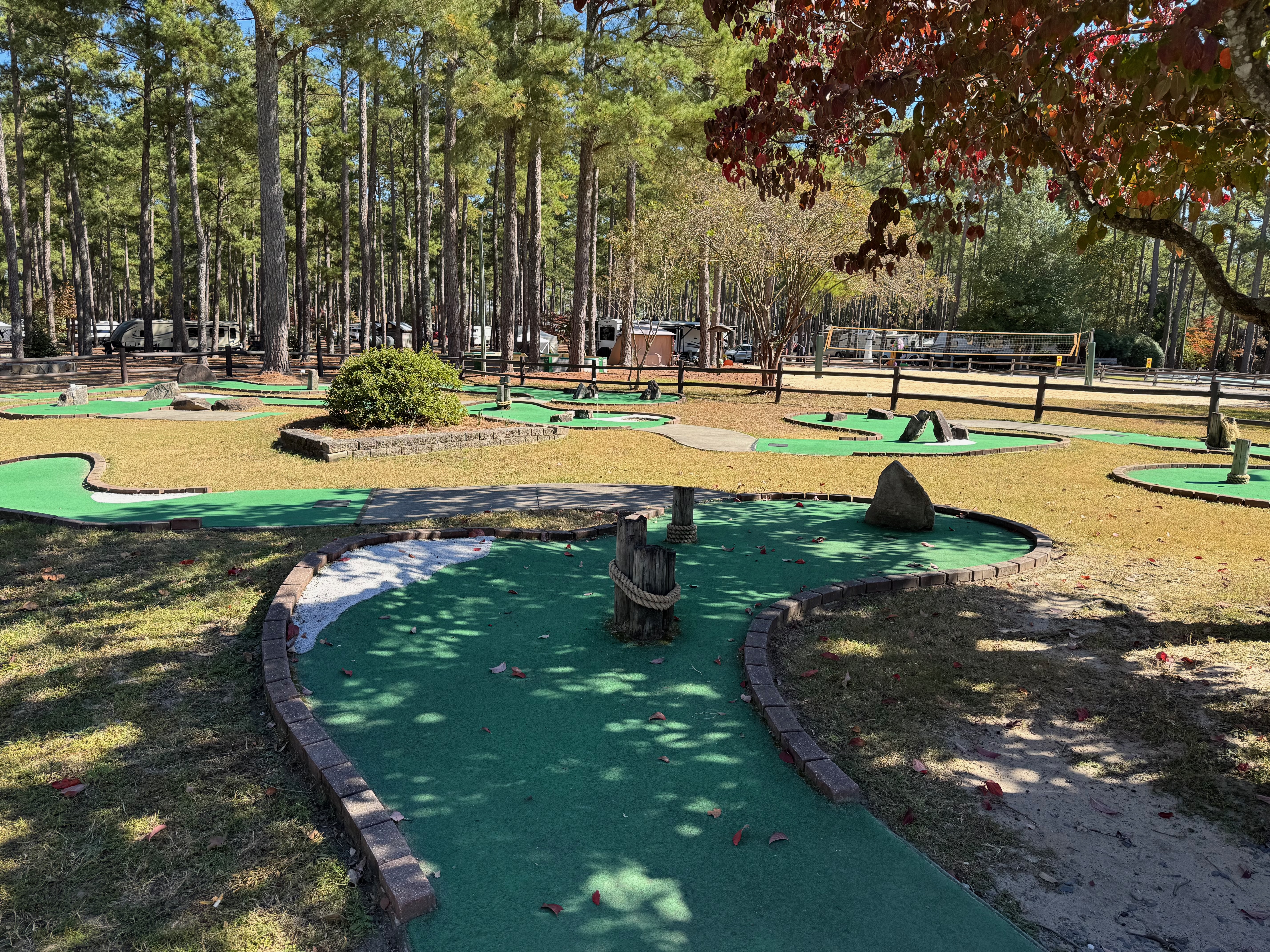 Mini-Golf & Frisbee Golf