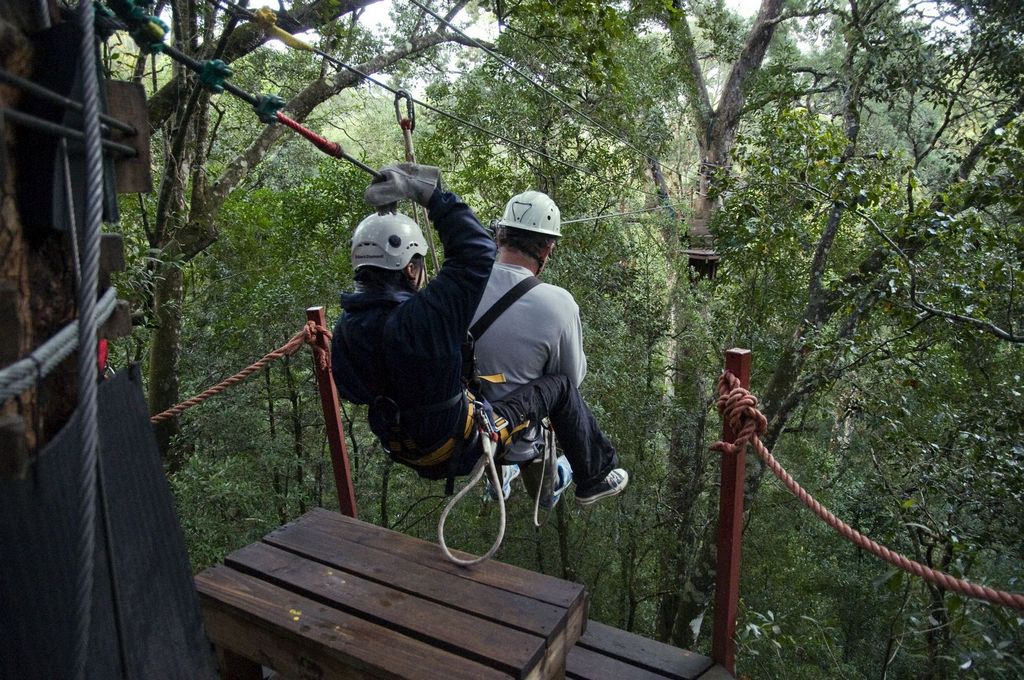 Tree Frog Canopy Tours